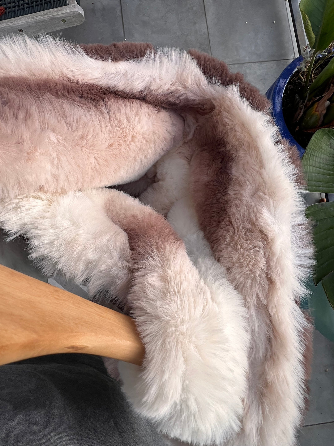 REXA ROBE 4