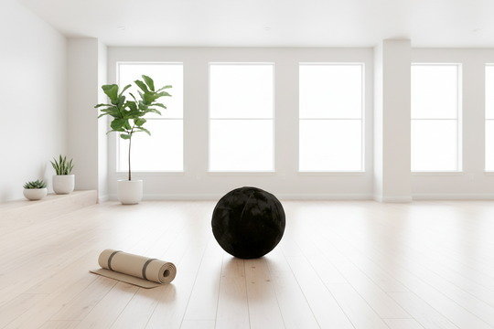 Yoga Ball Faux Chinchilla Cover