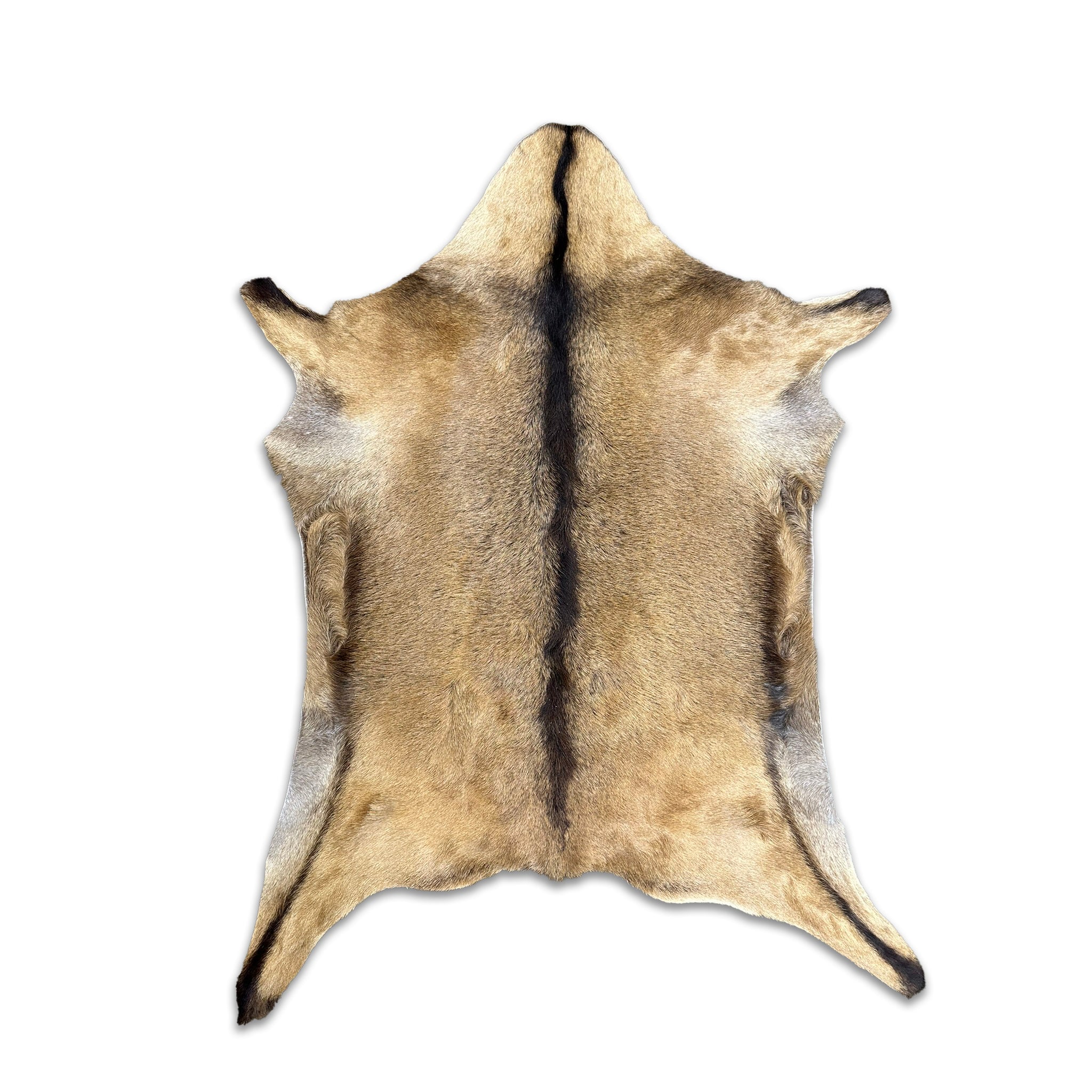 Real Goat Leather Hide Natural Hair Color – Rug Factory Plus