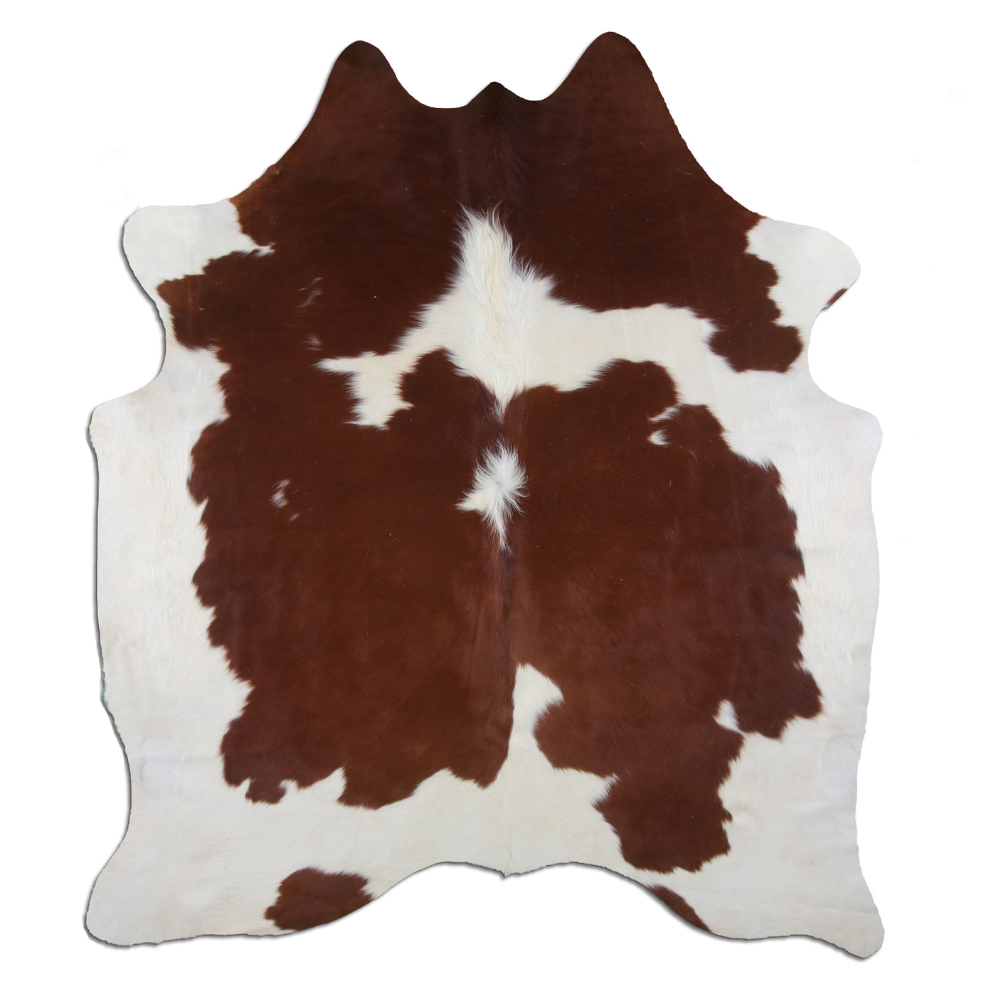 Real Leather Cowhide Cow 18 by Rug Factory Plus